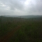 Deer Stand SW View