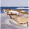 Rockport Bay