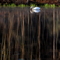 Proud Lake