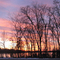 Wixom, MI - Loon Lake Sunset