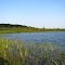 Moss Lake
