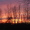Wixom Sunset Fire in the Sky