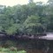 River Bank