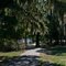 Path at Lumber River State Park (Princess Ann Access area)