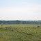 Rural Conecuh County