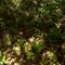 Hiking the North Country Trail