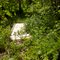 Hiking the North Country Trail
