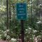 Hiking the North Country Trail