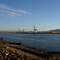 Up the Willamette River