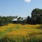 Springtime at Government Canyon State Natural Area