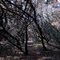 Bluff Spur Trail