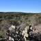 View from Bluff Spur Trail