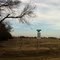 Tioga, TX