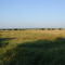 Gently rolling plains north of the Medina River