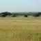 Gently rolling plains north of the Medina River
