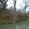 Rope Swing On Medina River