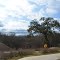 Big Oak View at Perez Cutback Wall