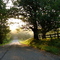 Pickard Rd., Isabella County, MI