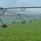 Irrigation