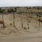 Wilderness boundry fence at Juniper Dunes