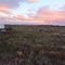 Sunrise at Juniper Dunes near parking area.