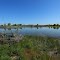 Pond with blind on south side