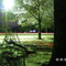 Front Yard at Night