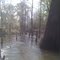 Big escambia creek