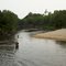 Summer at the Creek