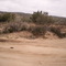 Bonny Lane, Anza CA