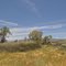Anza Grass Lands