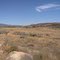Late summer in the high desert by the Cahuilla Creek MX track