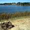 Lake in park