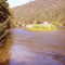 South Fork of the American River, at horse watering spot