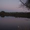 Pond