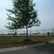 View from Hoosier Road