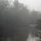 Foggy Murder Creek