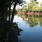 Sangamon River