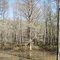 Clark Conservation area 8