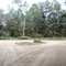 Middle Of The Woods