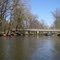 Shiawassee River