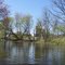 Shiawassee River