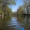Shiawassee River