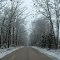 Elkhead Road in Winter