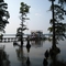Chalk Landing Pier, Hertford NC