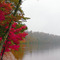 Fall, Lake Kanasatka, NH