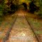 Tracks Into The Fall