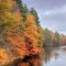 Fall Design