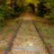 Tracks Into The Fall