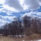 Looking South from Van Allen Rd